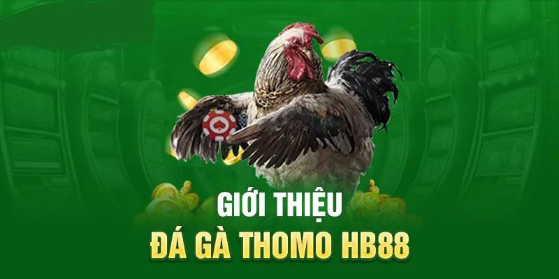 giới thiệu sảnh đá gà thomo 